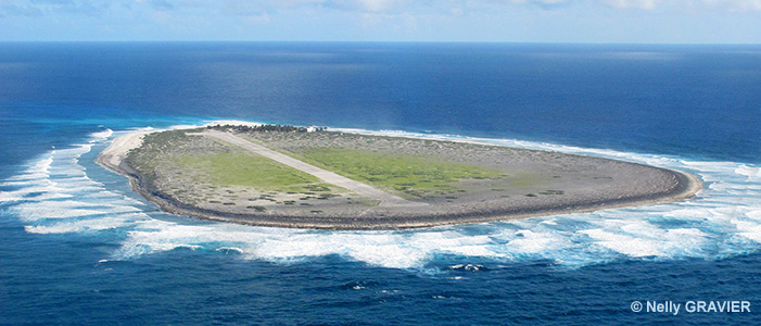 TROMELIN, L’ÎLE DES ESCLAVES OUBLIÉS TROMELIN, L’ÎLE DES ESCLAVES OUBLIÉS